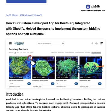 ReefnBid Auction case study — first page preview