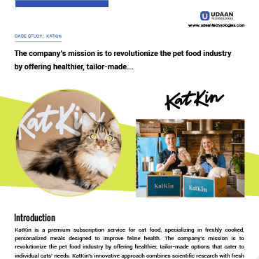 KatKin case study — first page preview